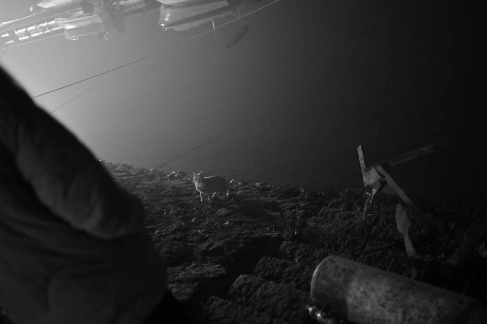 Photograph by Бирюков Сергей