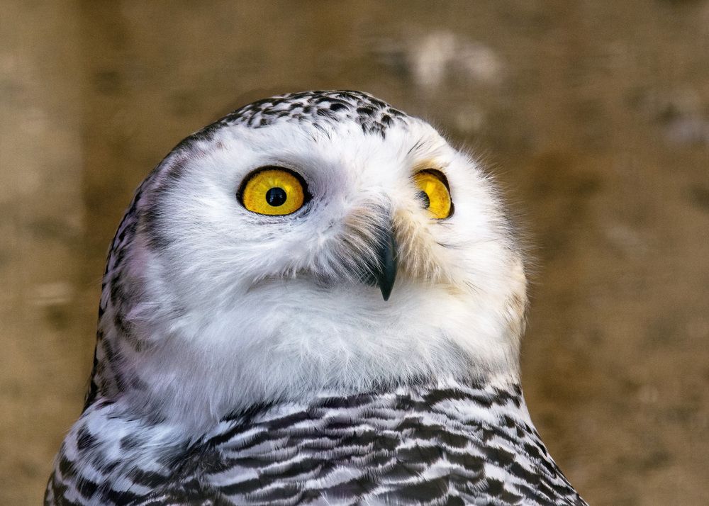 Photograph by Белевитин Михаил