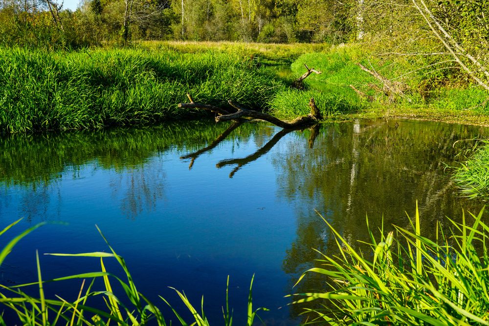 Photograph by Михаил Трусов