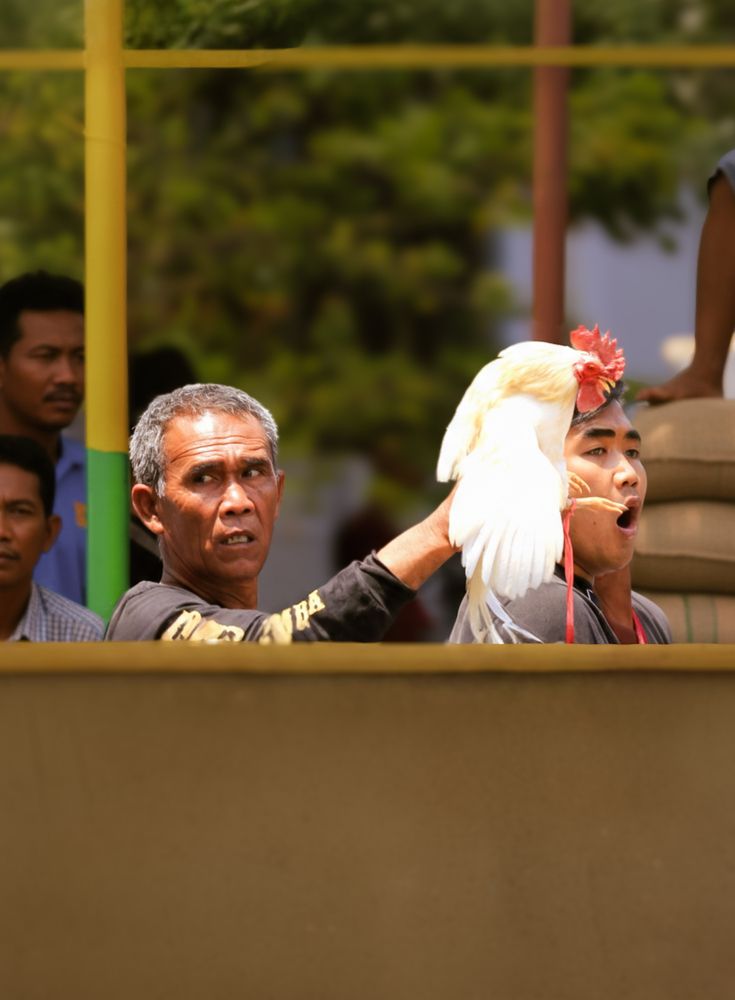 Фотография автора Edi Hidayat