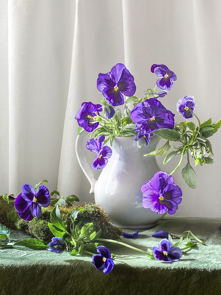 Фотография автора Вера Артеменко