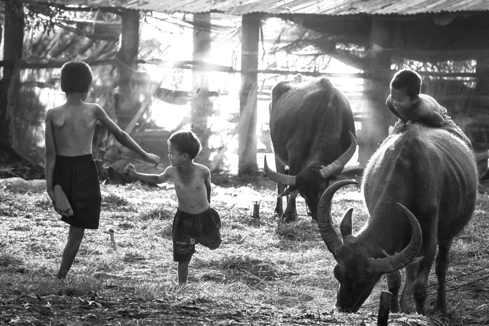 Childhood