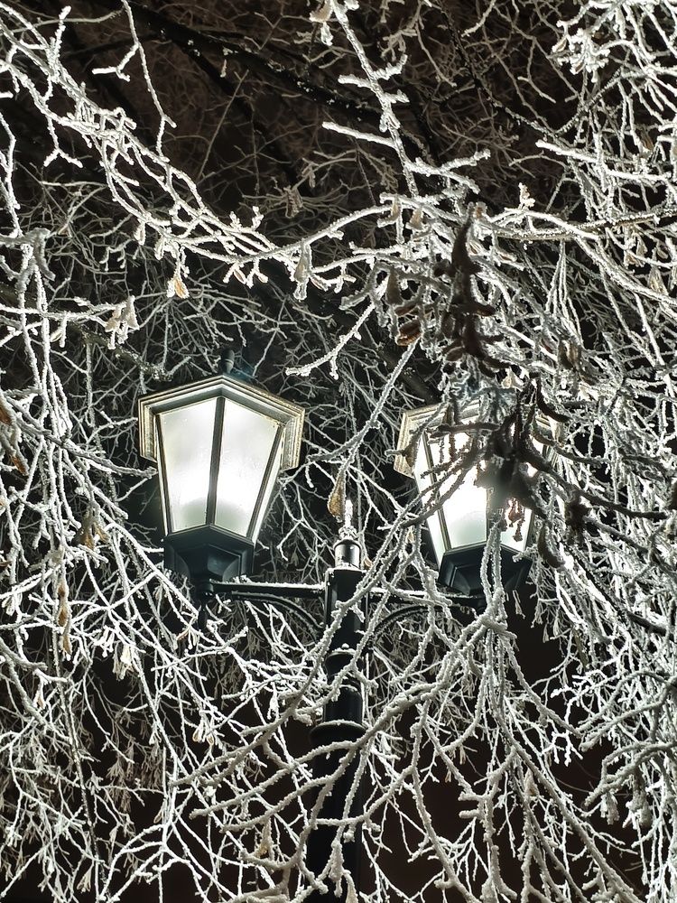 Photograph by Lena Semenova