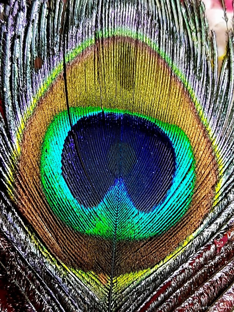 Photograph by V.l. Karthikeyan