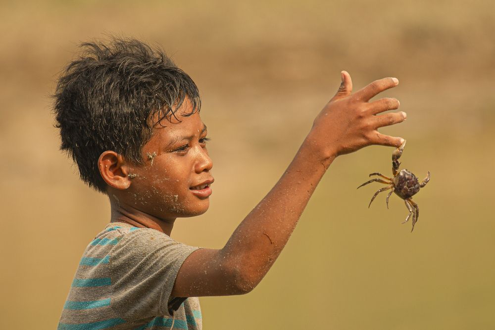 Childhood and the Crab