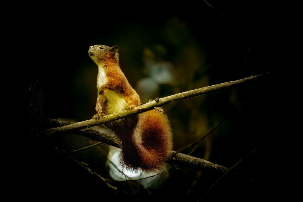 Photograph by Mafaz Abdeen
