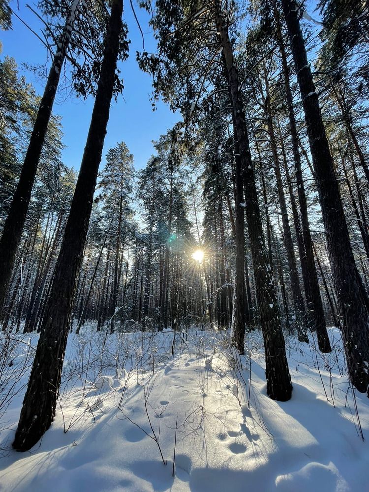 Photograph by Nadezhda