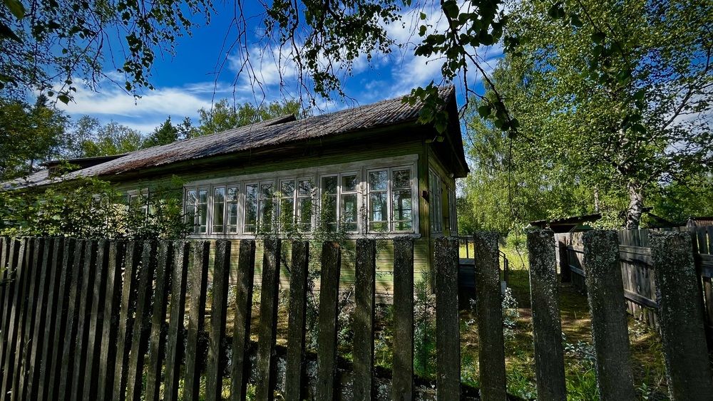 Photograph by Дубинин Сергей