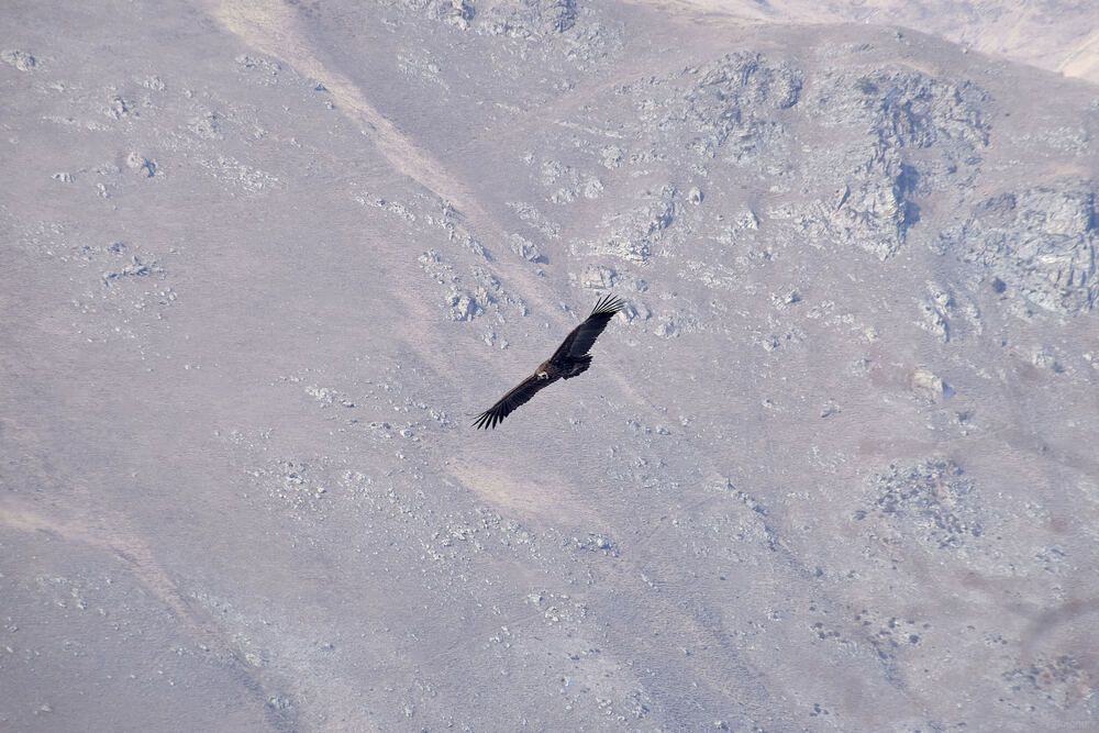 Photograph by Карпович Максим