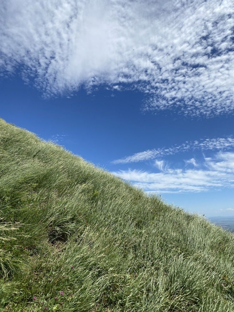 Photograph by Алиса Лукина