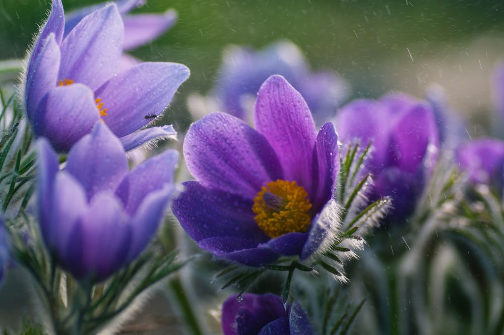 Photograph by Николай Захаров