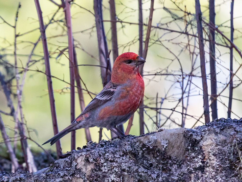 Photograph by Андрей Панов