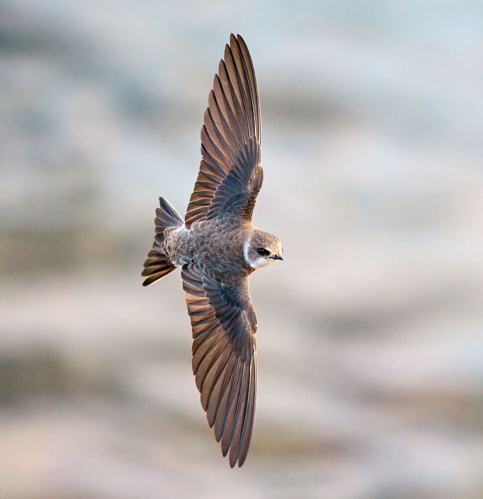 Photograph by Mikhail Khmelevskiy