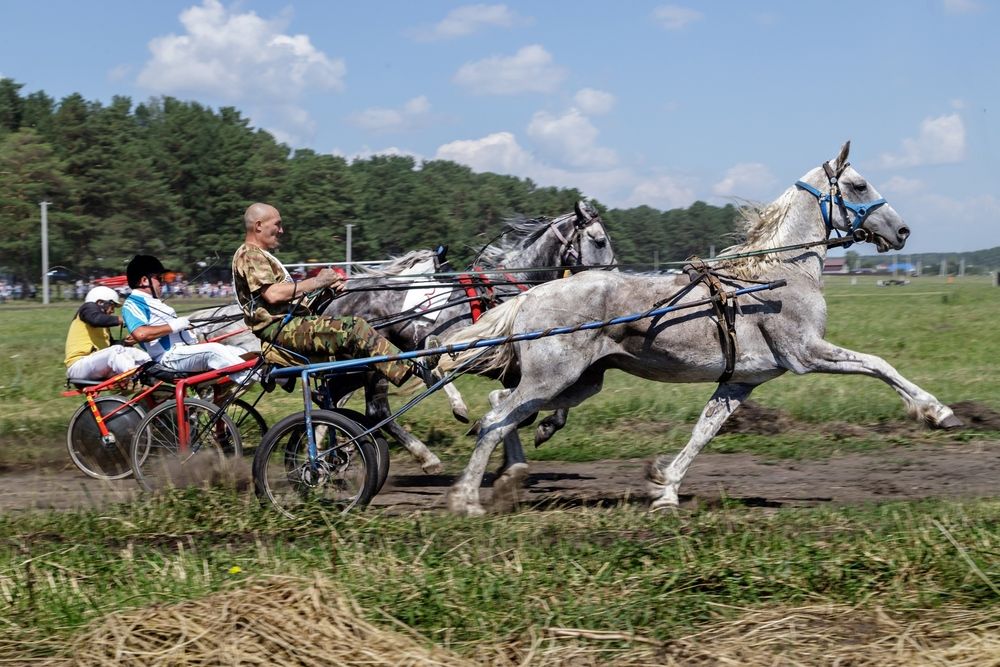Photograph by виктор ковчин