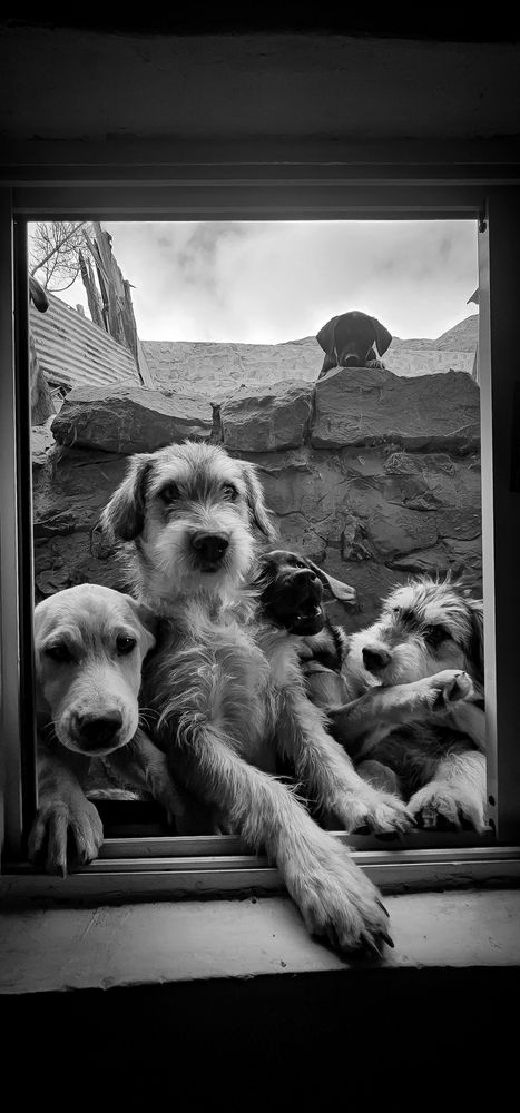 La ventana de los que aún creen