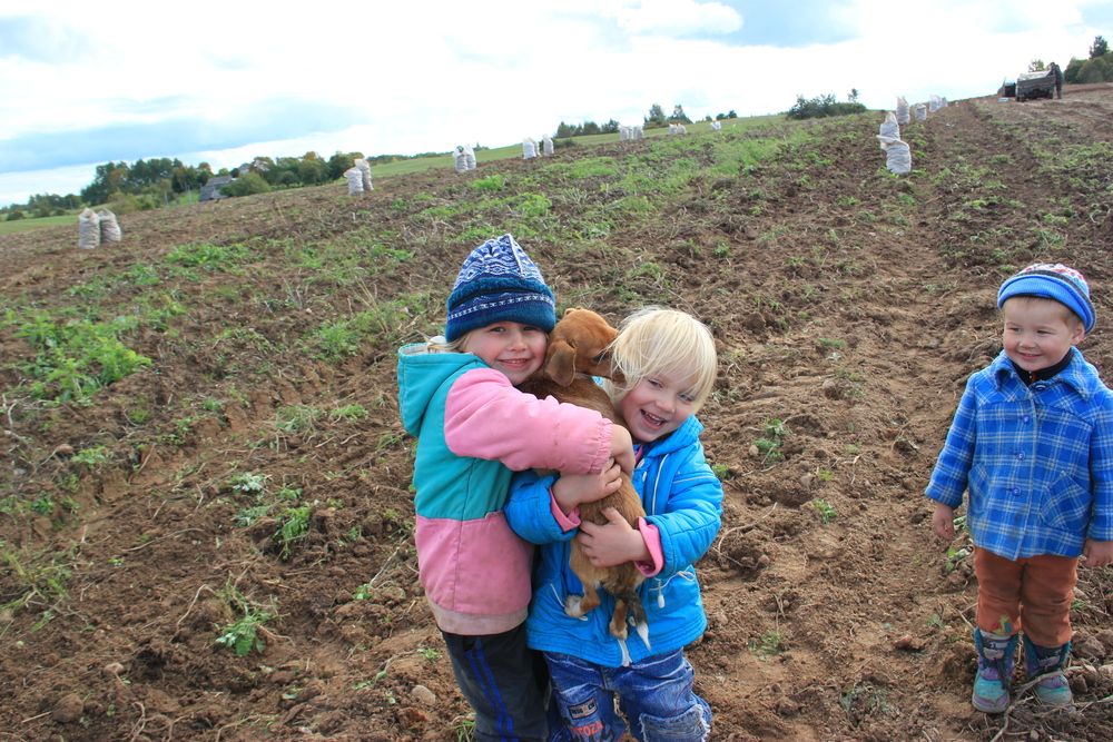 Фотография автора Анна-Лаймуте Милошевич