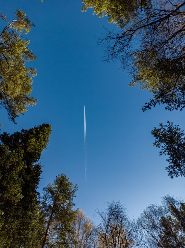 Гармония высот