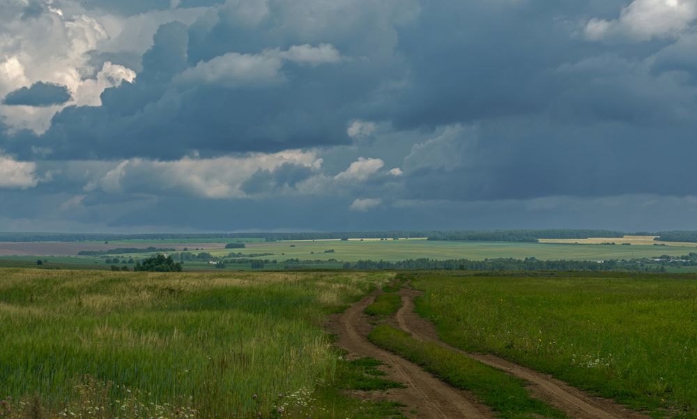 эти летние дожди...