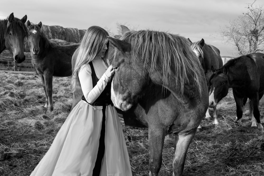 Фотография автора Светлана Воротынцева