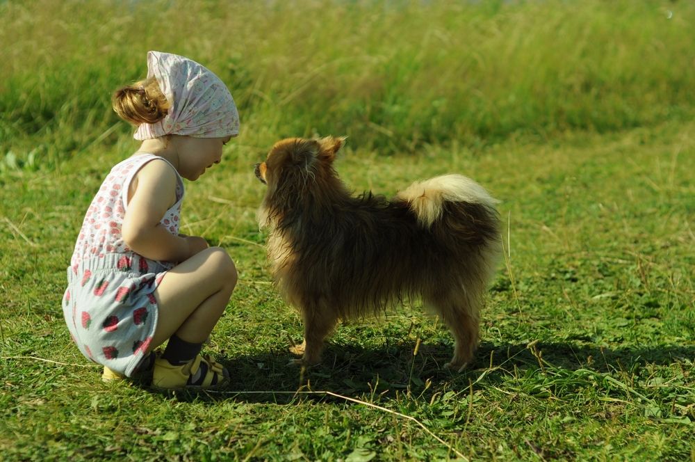 Фотография автора Кристина Киселёва