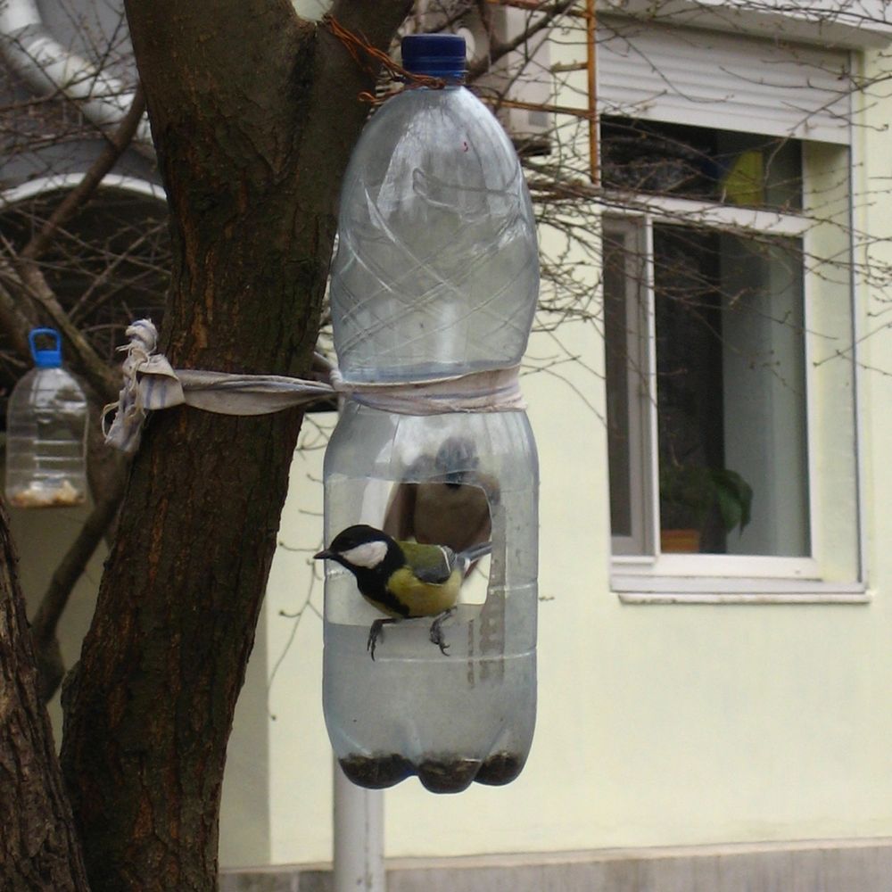 Photograph by Yevhenii