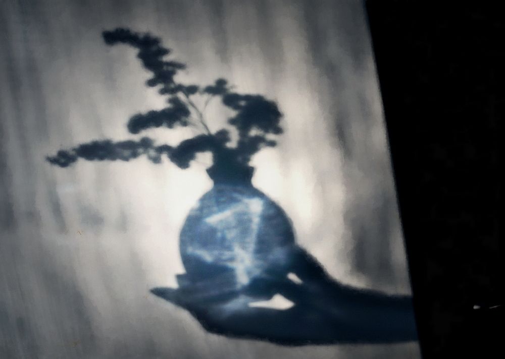 Фотография автора Е лена Е