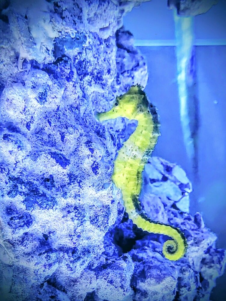 Фотография автора Ian Heard