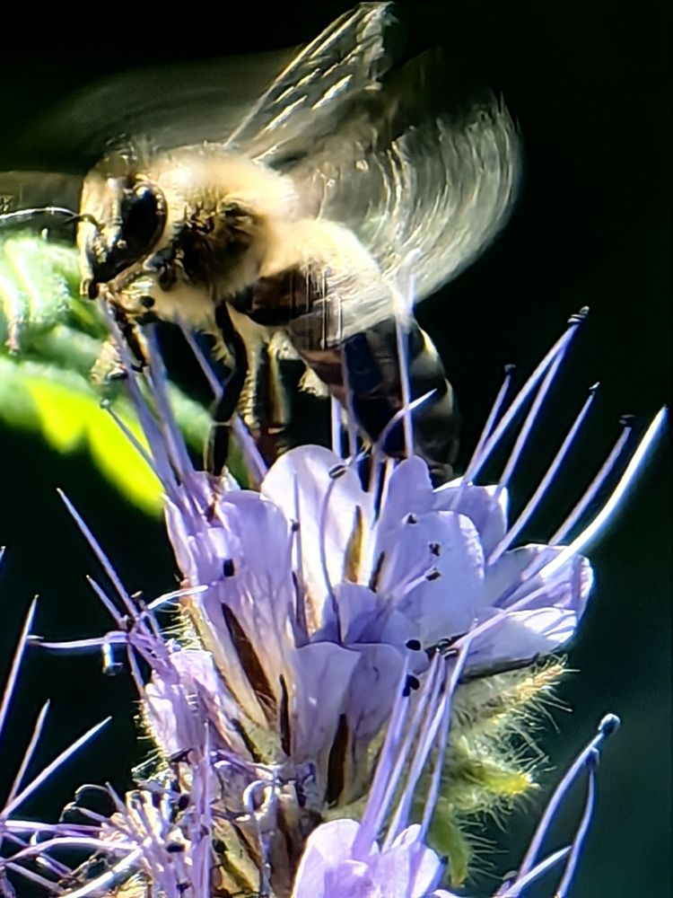 Photograph by Юлия Горелова