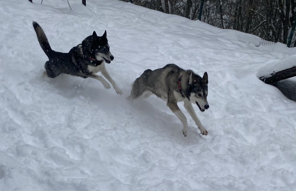 Photograph by Елена Одынец