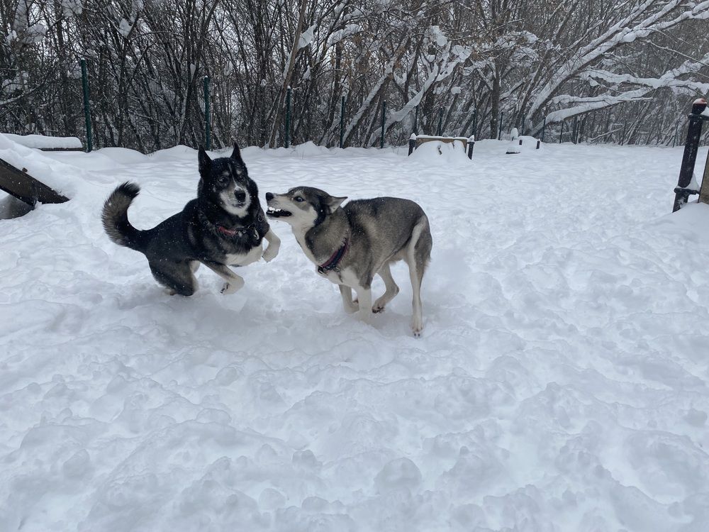 Photograph by Елена Одынец