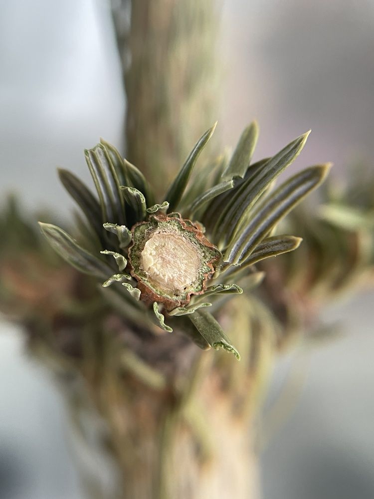 Photograph by Светлана Лебедева