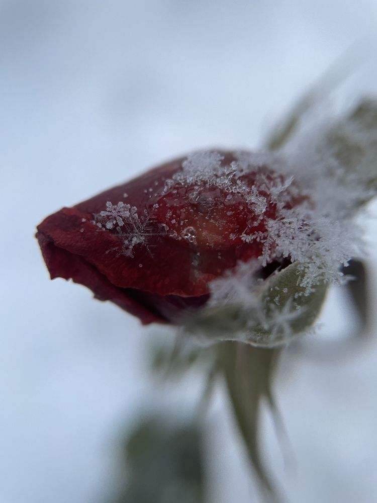 Photograph by Светлана Лебедева