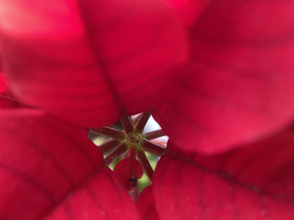 Photograph by Светлана Лебедева