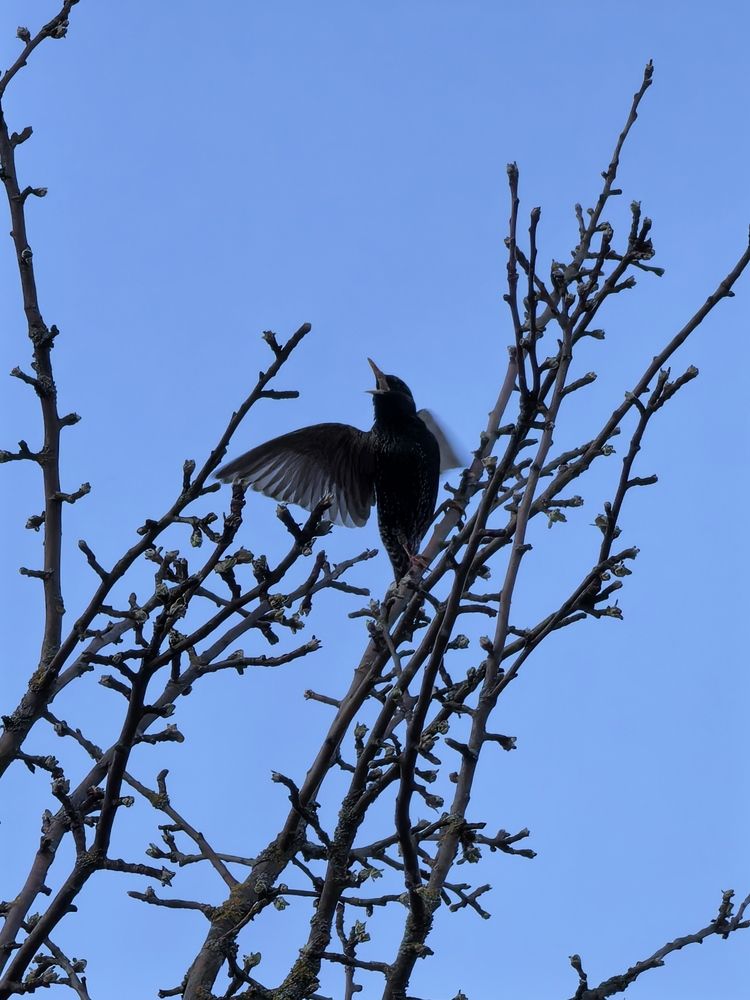 Фотография автора Александр Сипаров