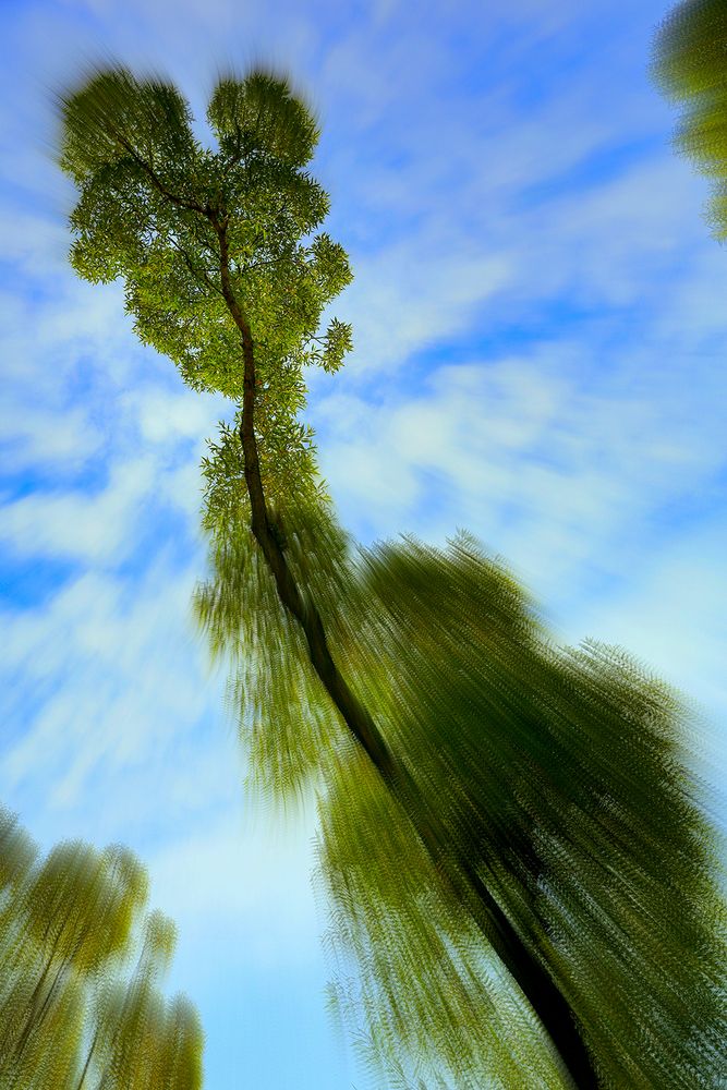 Динозаврик.