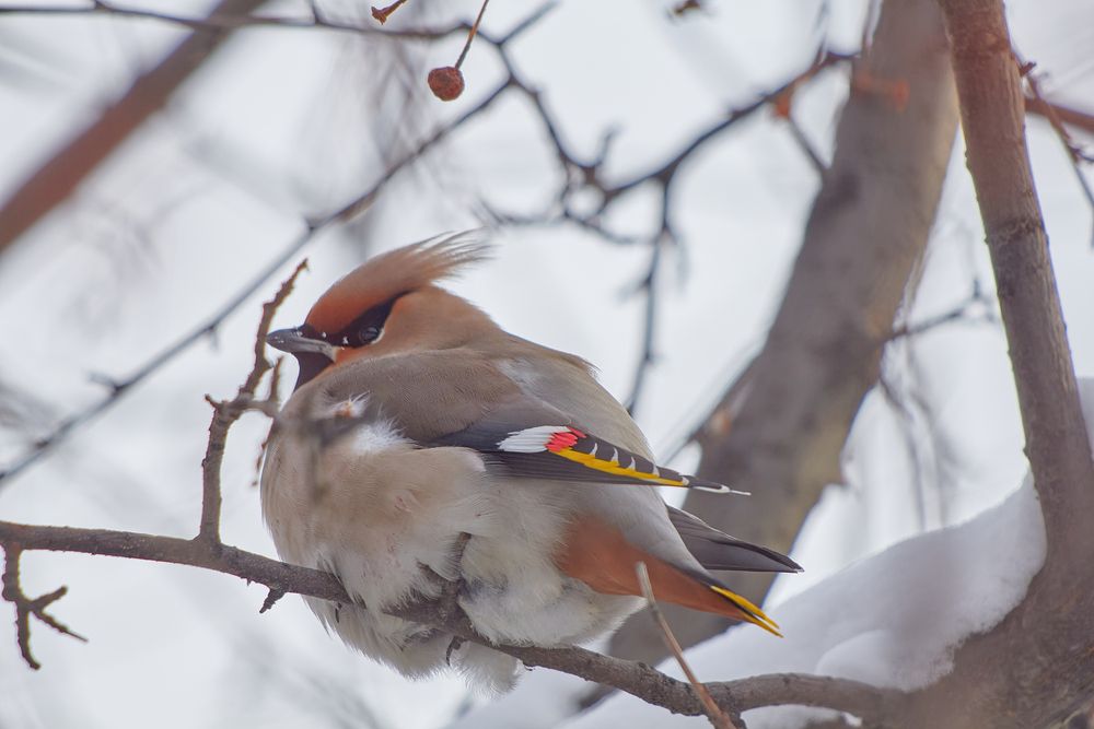 Photograph by Наталия Мащенко