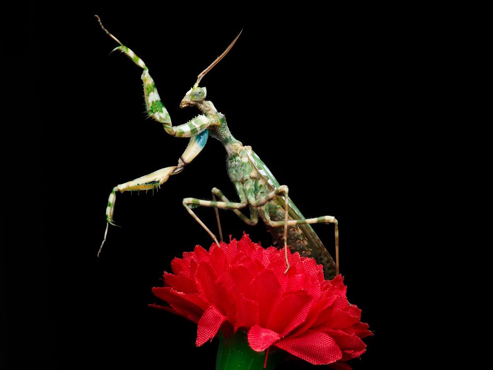 Photograph by Hocine Ferhat