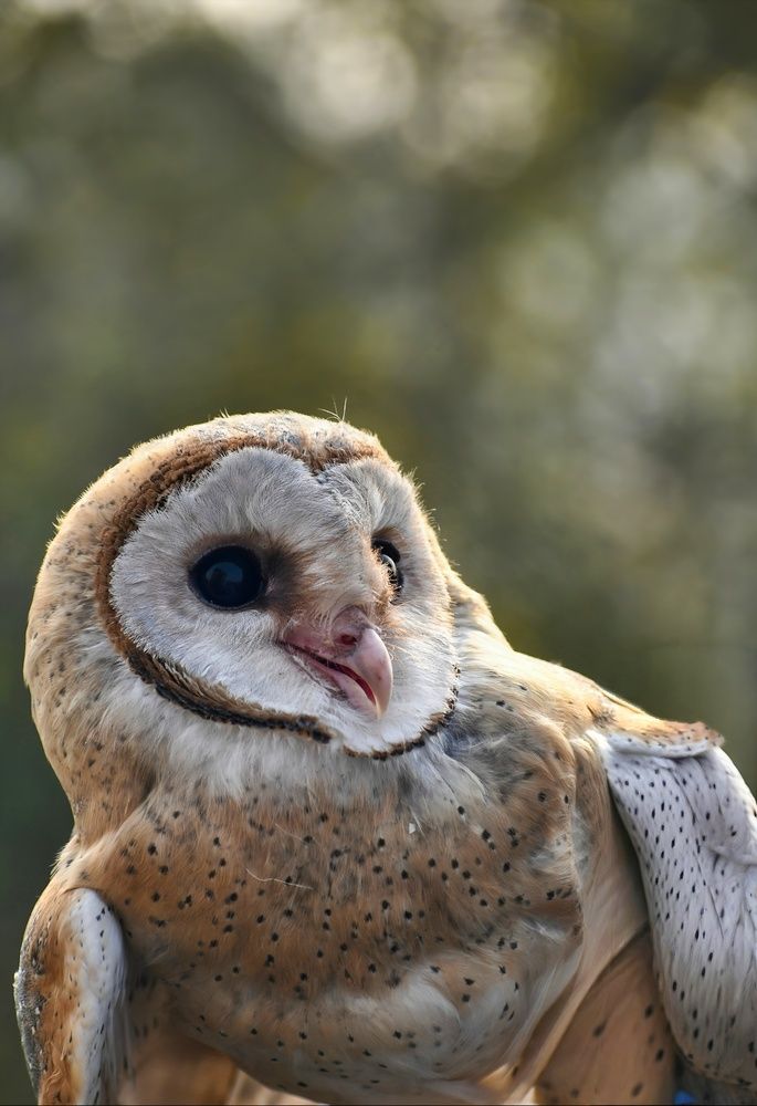 Photograph by Sanatan Sadhu