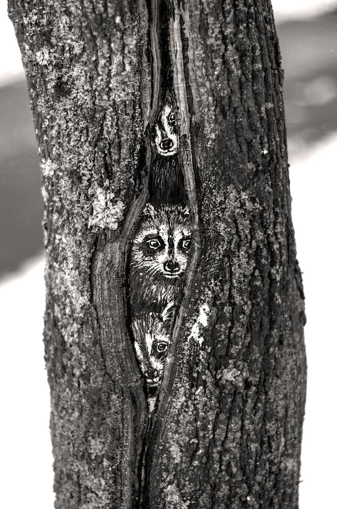 Photograph by Сергей Григорьев