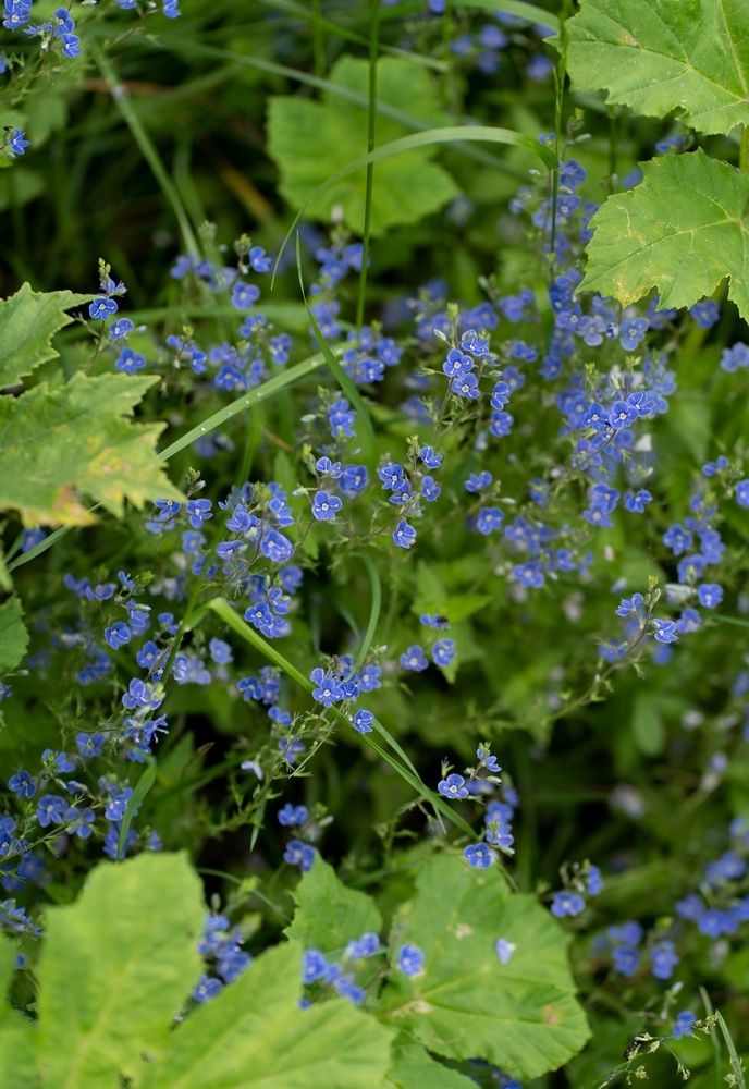 Photograph by Екатерина Одинцова