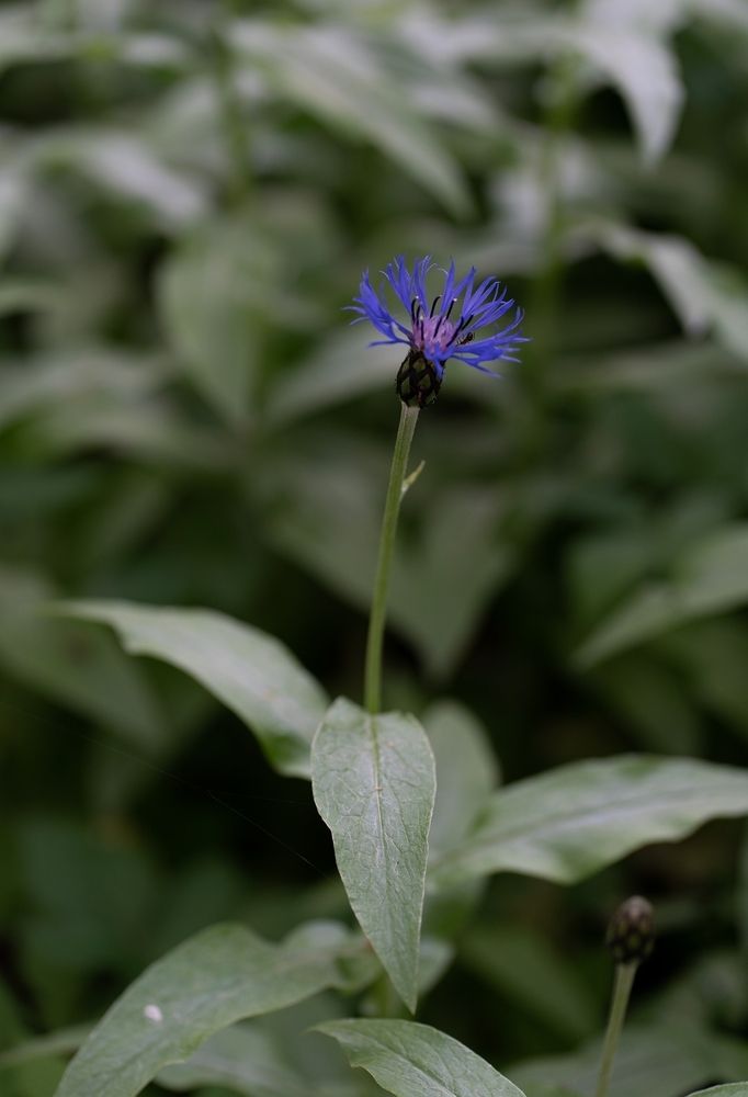 Photograph by Екатерина Одинцова