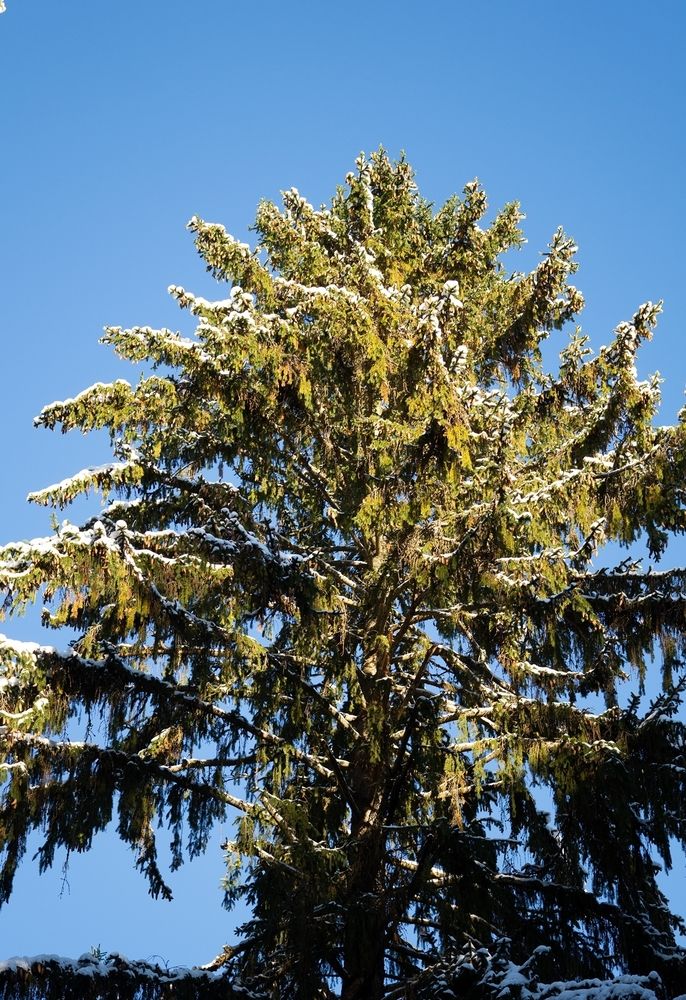 Photograph by Екатерина Одинцова