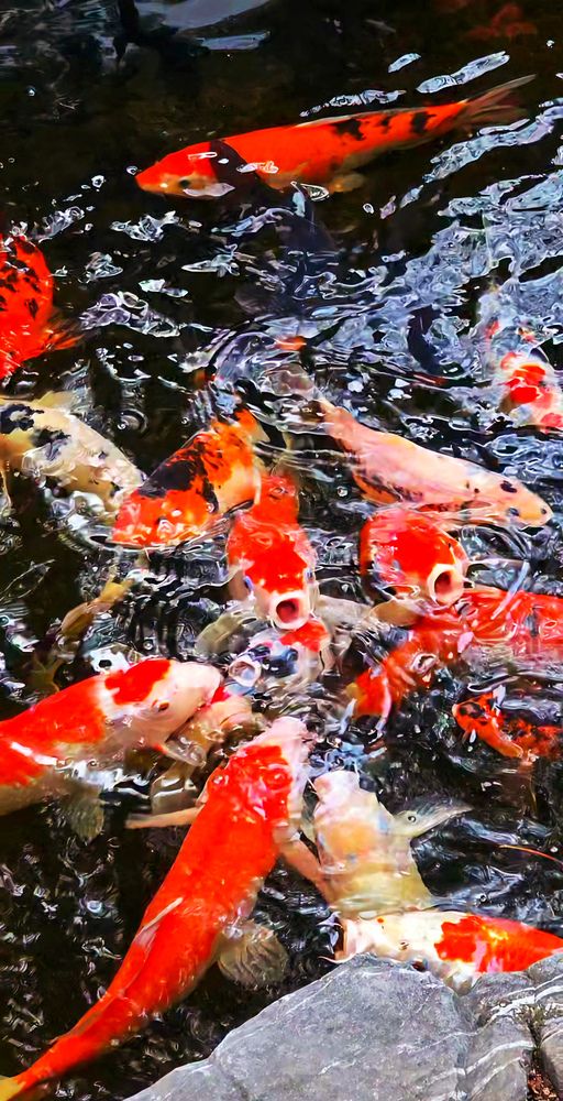 Photograph by Bryan Lee