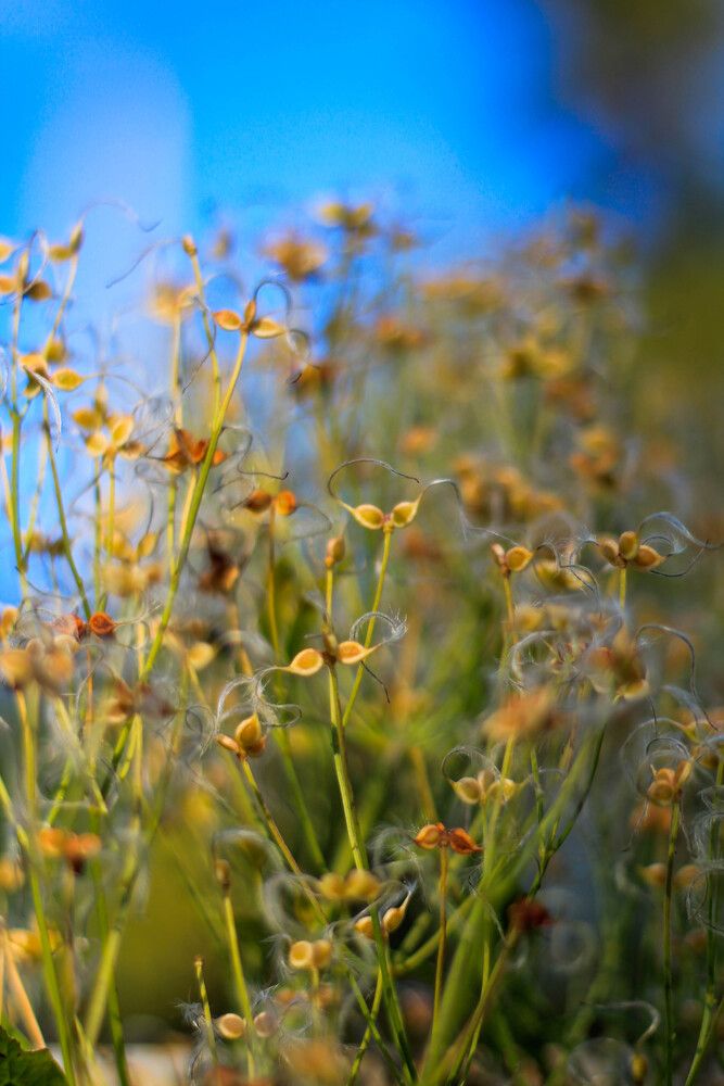 Photograph by Любовь Иванова