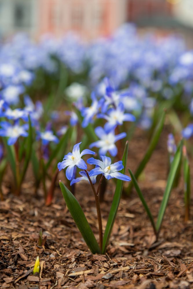 Photograph by Рыков Андрей