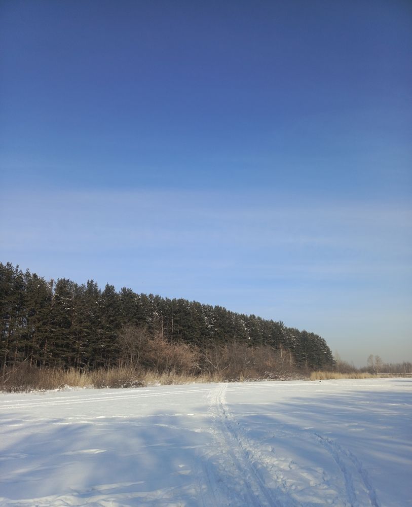 Фотография автора Ольга Петрова