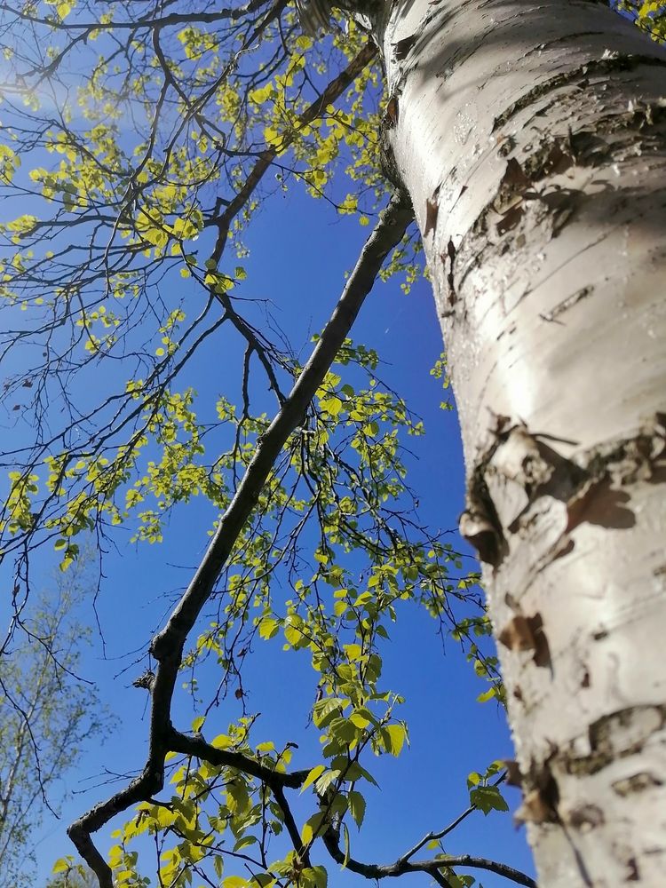 Photograph by Татьяна Бешенкина