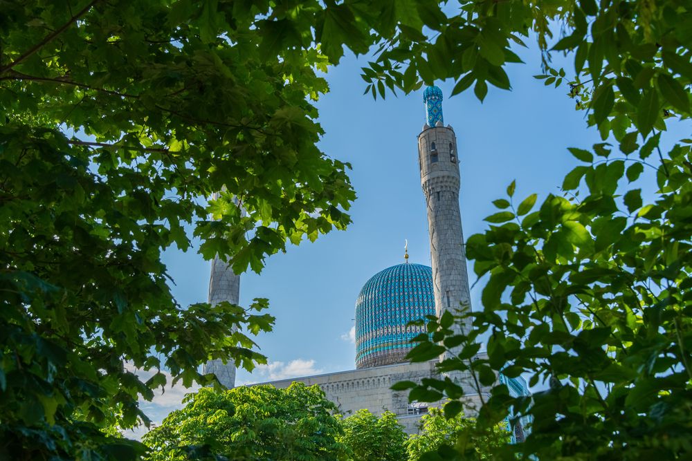 Photograph by Рыков Андрей