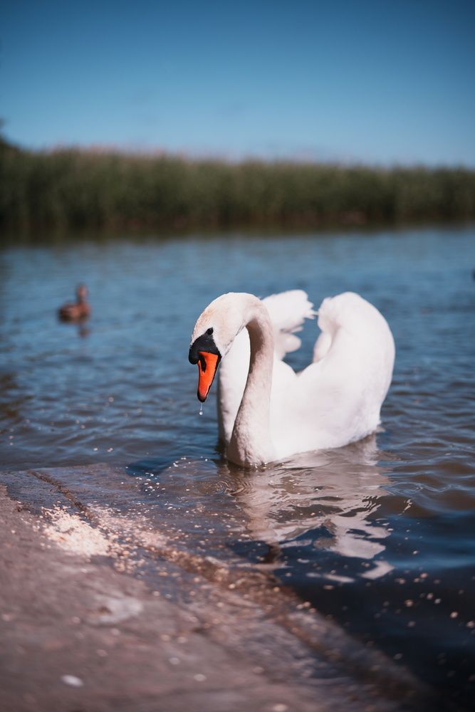 Photograph by Наталья Эндерс