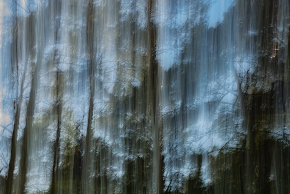 Photograph by Наталья Плотникова